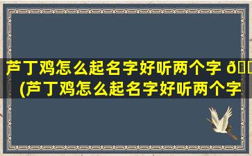 芦丁鸡怎么起名字好听两个字 🐦 (芦丁鸡怎么起名字好听两个字大全)